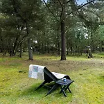 Bv369-blavand-hedevej-8 *