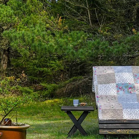 Tatil Evi Bv369-blavand-hedevej-8